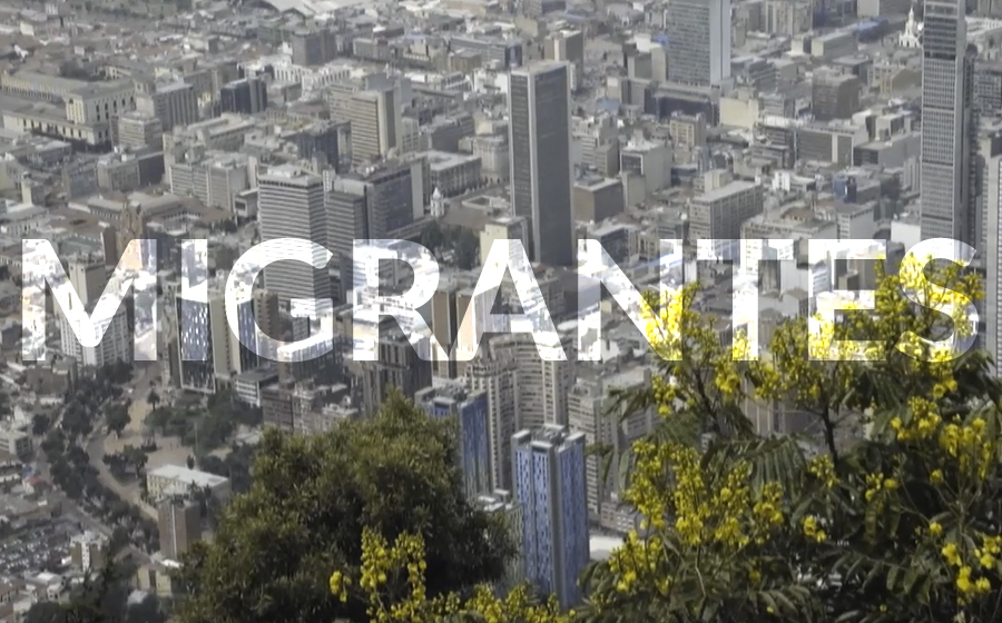 Migrantes: Coproduccion 2019