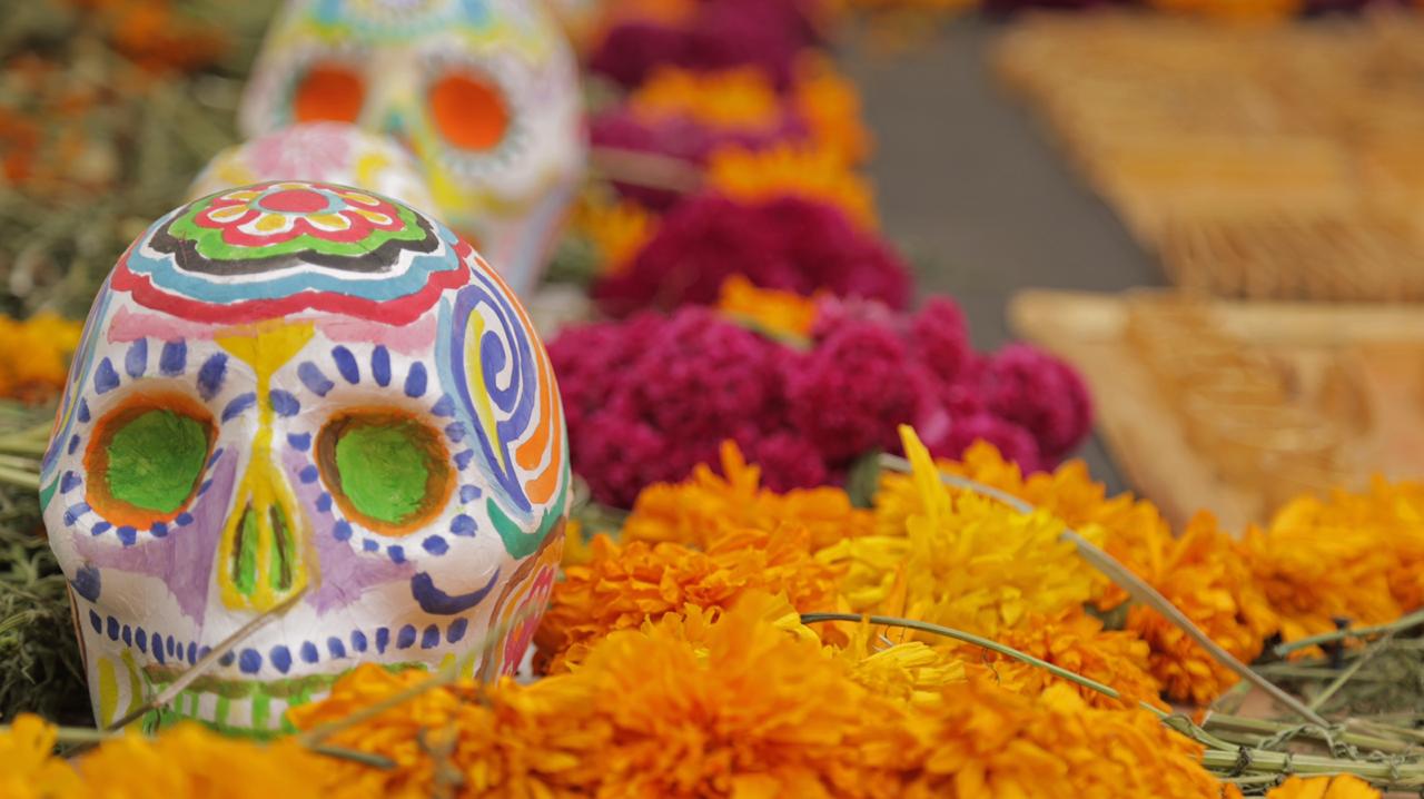 UAATV estrena programa especial por el Día de los Muertos en México