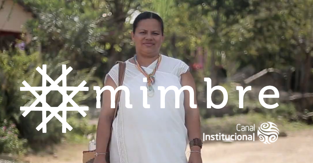 MIMBRE, la serie sobre el proceso de paz en Colombia